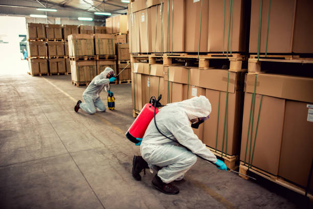 Best Termite Control Services  in Mcadoo, PA