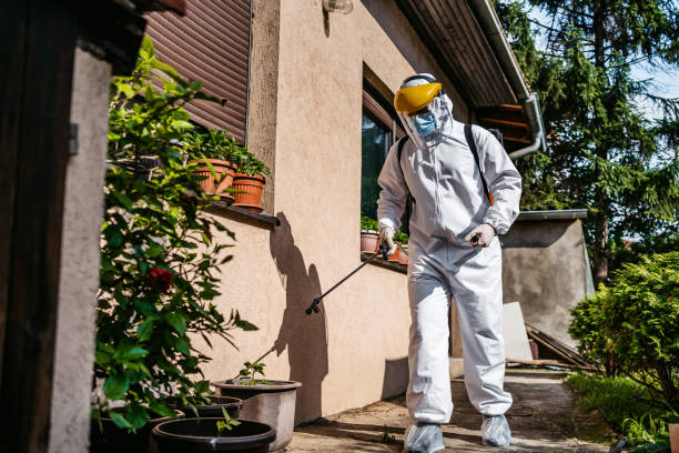 Best Wasp Removal Services  in Mcadoo, PA