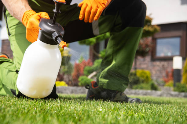 Best Pest Control Near Me  in Mcadoo, PA