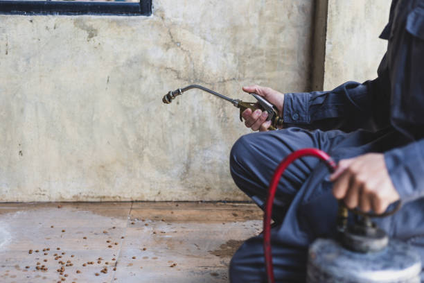 Best Pest Prevention Services  in Mcadoo, PA